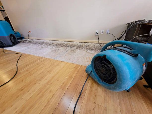 Professional Sewage Cleanup technician working in Lenzburg, IL